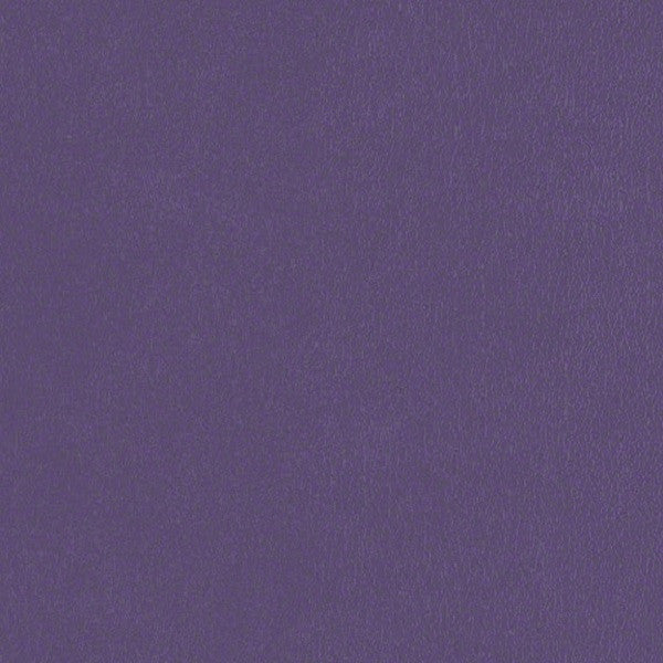 CF Stinson Fabric Remnant of Avant Deep Violet