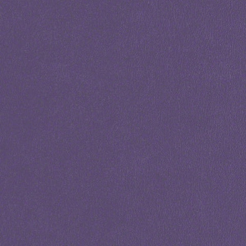CF Stinson Fabric Remnant of Avant Deep Violet