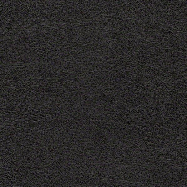 Remnant of CF Stinson Dakota Onyx Black Upholstery Fabric