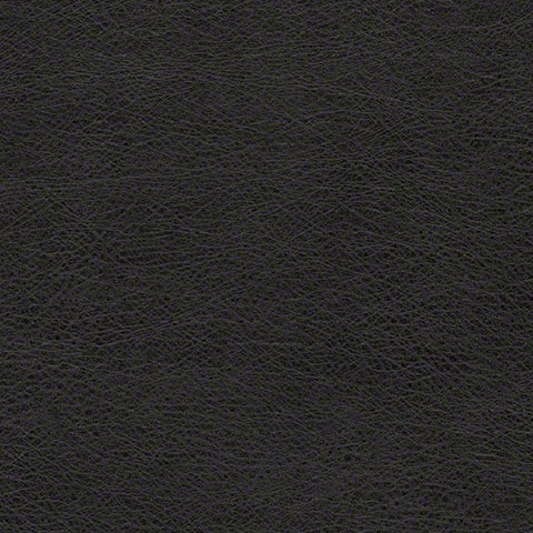 Remnant of CF Stinson Dakota Onyx Black Upholstery Fabric