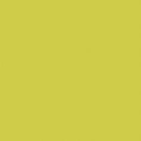 Fabric Remnant of Maharam Chime Bug Green