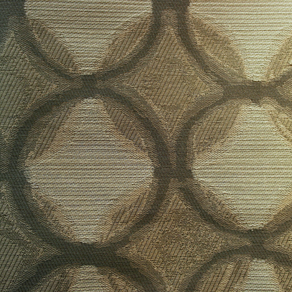 Fabric Remnant of Composition Granite