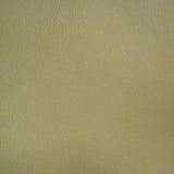 Remnant of Sina Pearson Eureka Reed Beige Upholstery Fabric
