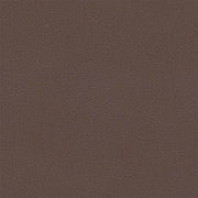 Remnant of Architex Evolution Cell Upholstery Vinyl