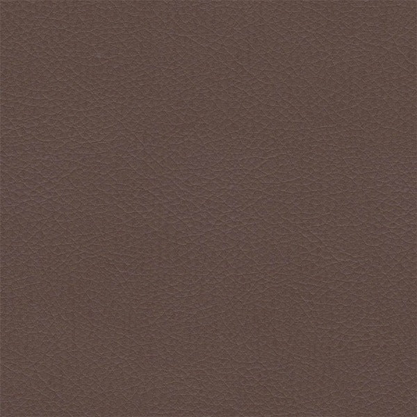 Remnant of Architex Evolution Cell Upholstery Vinyl