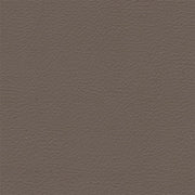 Remnant of Architex Evolution Trait Upholstery Fabric