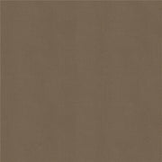Fabric Remnant of Architex Fit Bronze