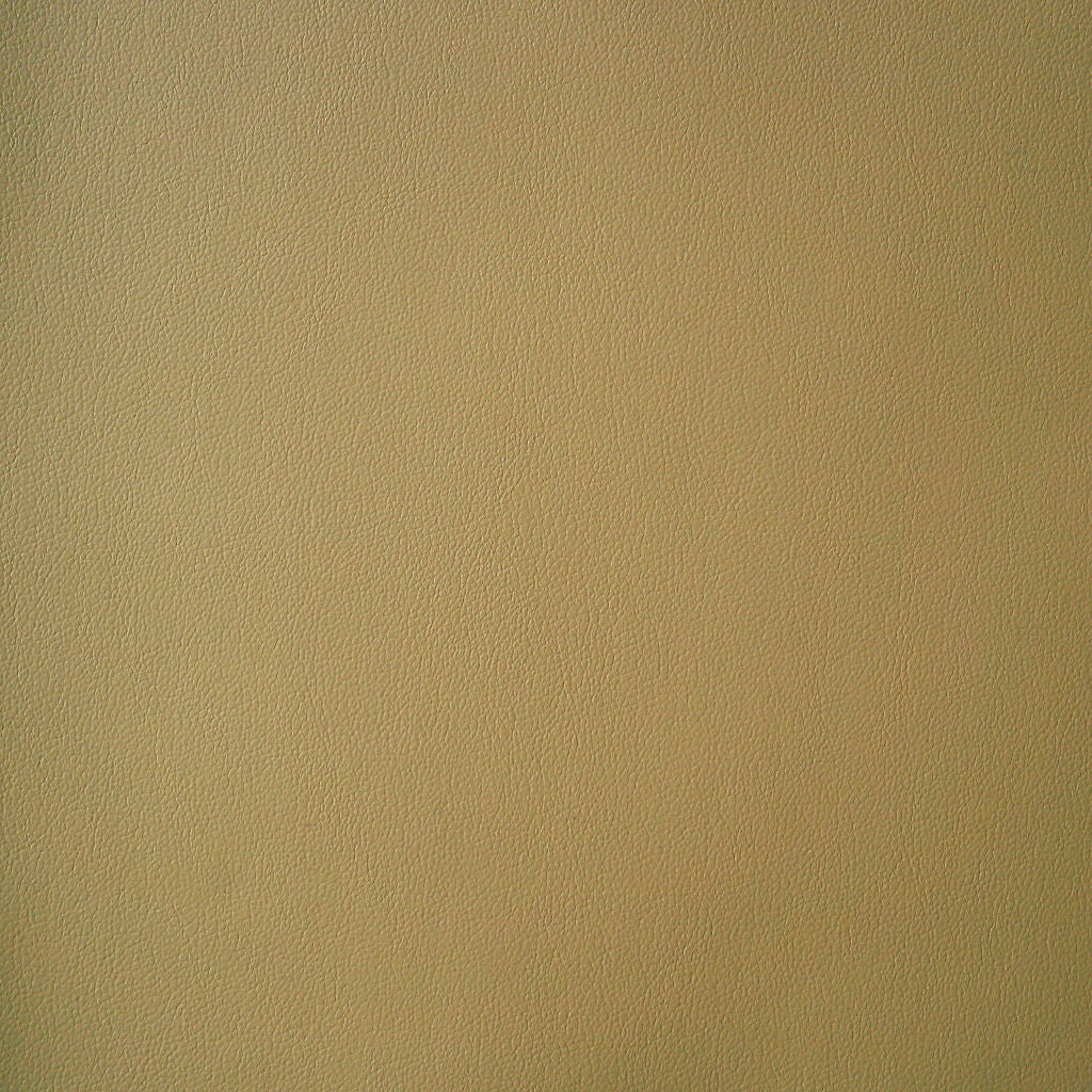 Momentum Textiles Upholstery Fabric Remnant Foray Cane