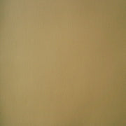 Momentum Textiles Upholstery Fabric Remnant Foray Cane