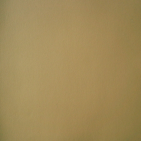 Momentum Textiles Upholstery Fabric Remnant Foray Cane