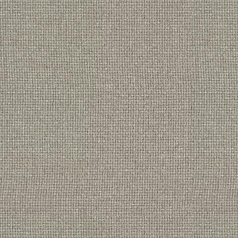 Remnant of Carnegie Hashtag 37 Light Grey Upholstery Fabric