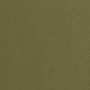 Remnant of Mayer Caressa Laurel Upholstery Vinyl