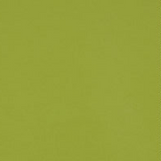 Mayer Fabrics Upholstery Fabric Remnant Phoenix Lime