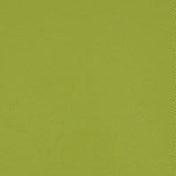 Mayer Fabrics Upholstery Fabric Remnant Phoenix Lime