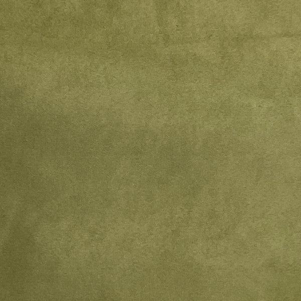 Burch Fabric Ritz Fern Upholstery Fabric