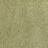 Burch Fabrics Parlor Aloe Upholstery Fabric