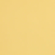 CF Stinson Cassidy Dandelion Upholstery Vinyl