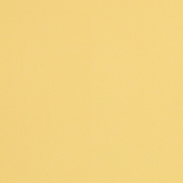 CF Stinson Cassidy Dandelion Upholstery Vinyl