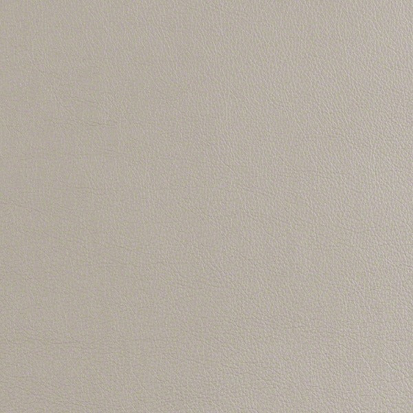 Remnant of CF Stinson Cassidy Armor Upholstery Fabric