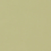 CF Stinsion Citadel Sage Green Upholstery Vinyl