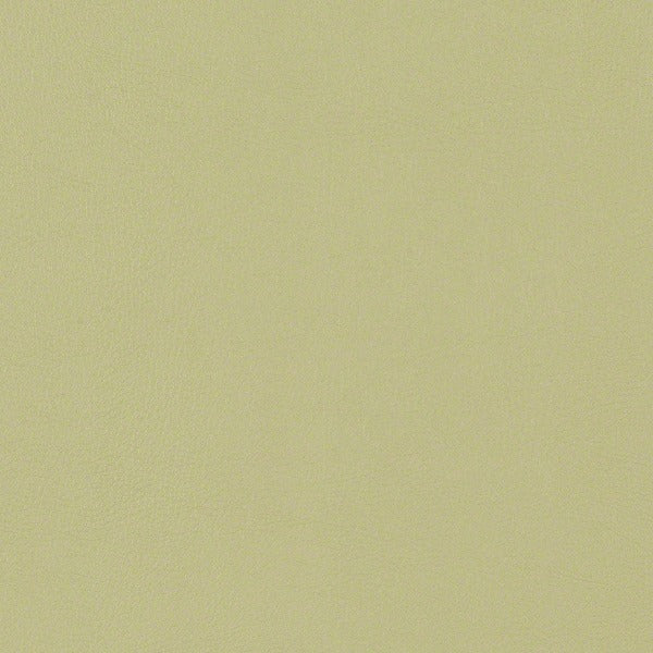 CF Stinsion Citadel Sage Green Upholstery Vinyl