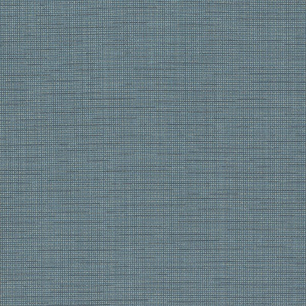 Remnant of CF Stinson Connect Scuba  Upholstery Fabric