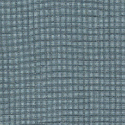 Remnant of CF Stinson Connect Scuba  Upholstery Fabric