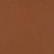CF Stinson Dakota Canyon Upholstery Vinyl