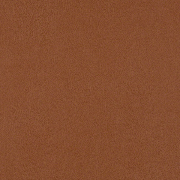 CF Stinson Dakota Canyon Upholstery Vinyl