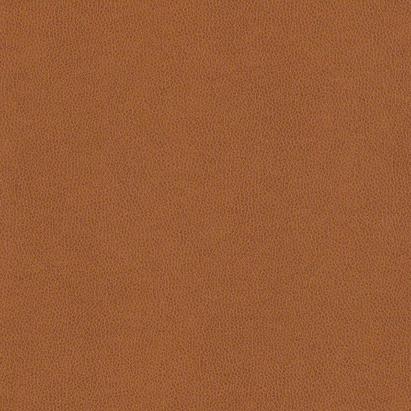 Remnant of CF Stinson Modena Terra Di Siena Upholstery Fabric