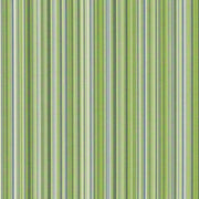 CF Stinson Promenade Surfboard Upholstery Fabric