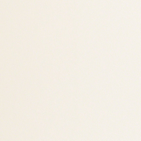 Remnant of CF Stinson Rialto Glove White Upholstery Fabric