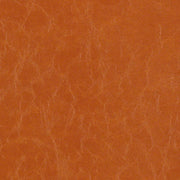 Remnant of CF Stinson Sleek Posh Upholstery Fabric