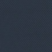 CF Stinson Transcend Midnight Upholstery Fabric