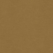 Arc-Com Fabrics Upholstery Fabric Remnant Omega Antiquegold