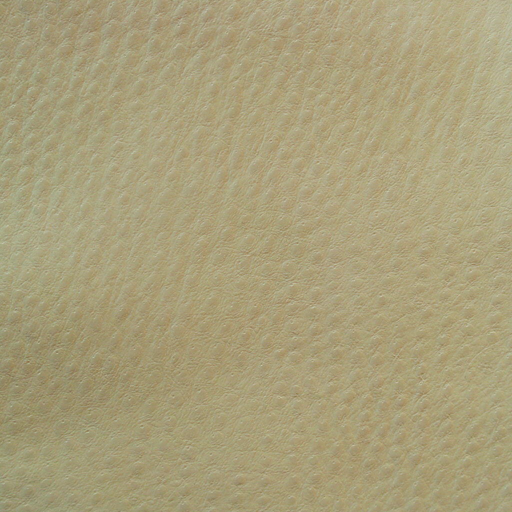 Fabric Remnant of Mayer Outback Chalk