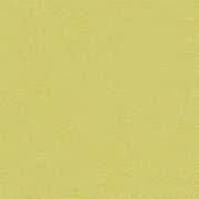 Remnant of Architex Prescription Dalton Upholstery Fabric