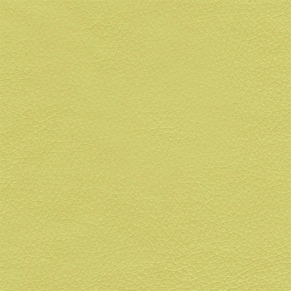 Remnant of Architex Prescription Dalton Upholstery Fabric