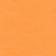 Remnant of Architex Prescription Kepler Upholstery Fabric