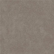 Remnant of Architex Sandwashed Sonietta Upholstery Fabric