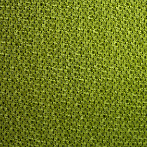 Remnant of Silk Mesh Avocado Green Upholstery Fabric