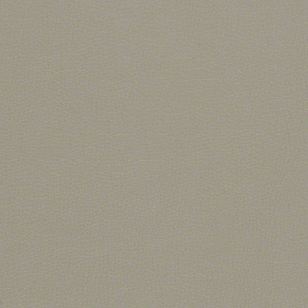 CF Stinson Upholstery Fabric Remnant Sundance Yuma