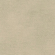 Remnant of Architex Sunnyvale Argues Upholstery Fabric