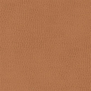 Architex Sunnyvale Dunford Upholstery Fabric