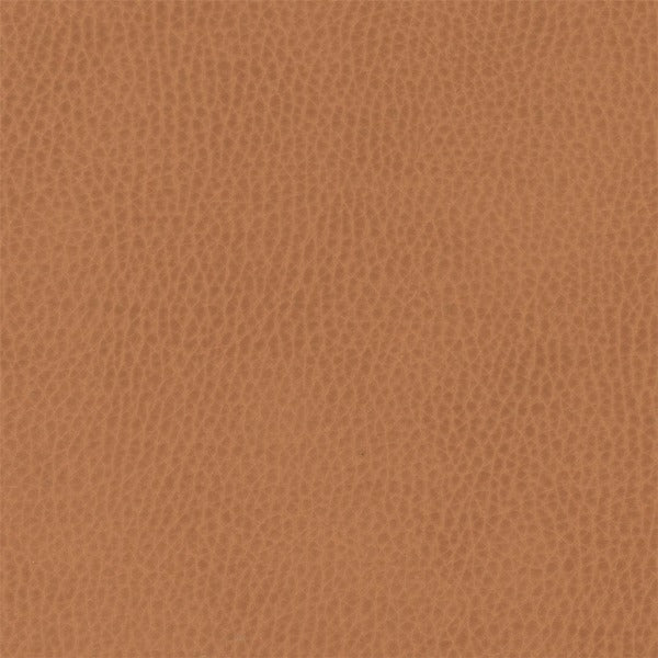 Architex Sunnyvale Dunford Upholstery Fabric