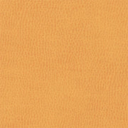 Remnant of Architex Sunnyvale Maude Orange Outdoor Upholstery Fabric Vinyl