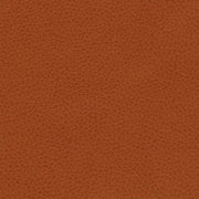 Paul Brayton Tolstoy Kumquat Faux Leather Orange Upholstery Vinyl