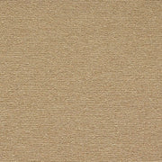 Maharam Fabrics Upholstery Fabric Remnant Path Acre