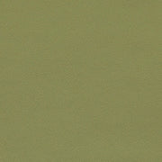 Remnant of Agora Citron Green Upholstery Fabric