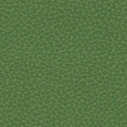 Remnant of Ultraleather Reef Pro Algae Upholstery Vinyl